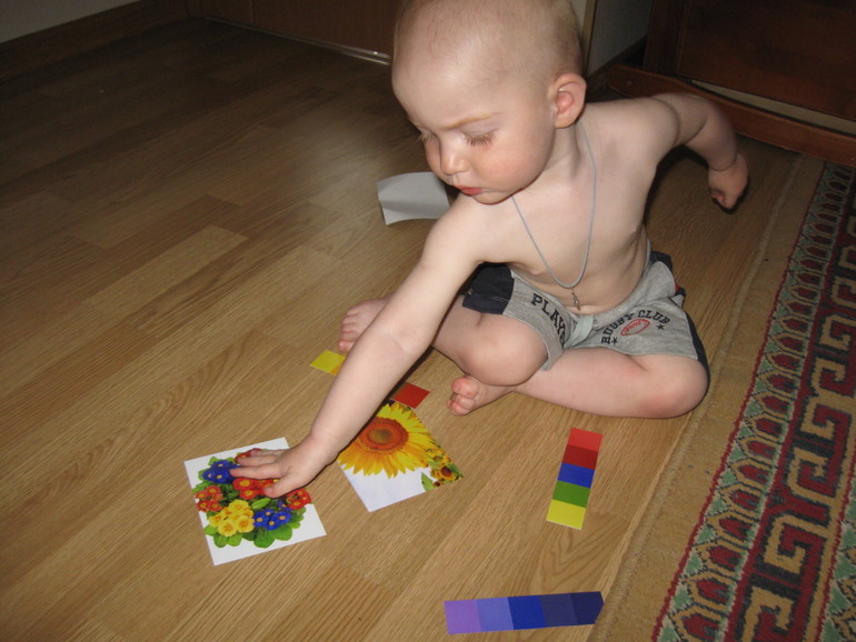 Шичида: Цветное безобразие состоялось