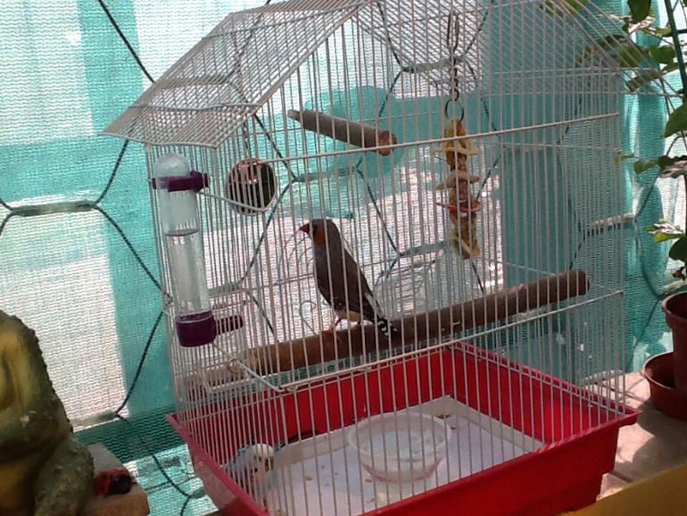 ВВЦ Дом  Бабочек 02.05.2014