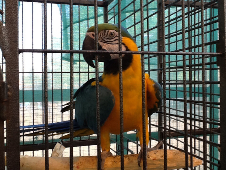 ВВЦ Дом  Бабочек 02.05.2014