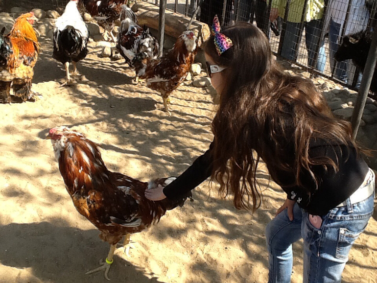 ЗООПАРК продолжение 01.05.2014