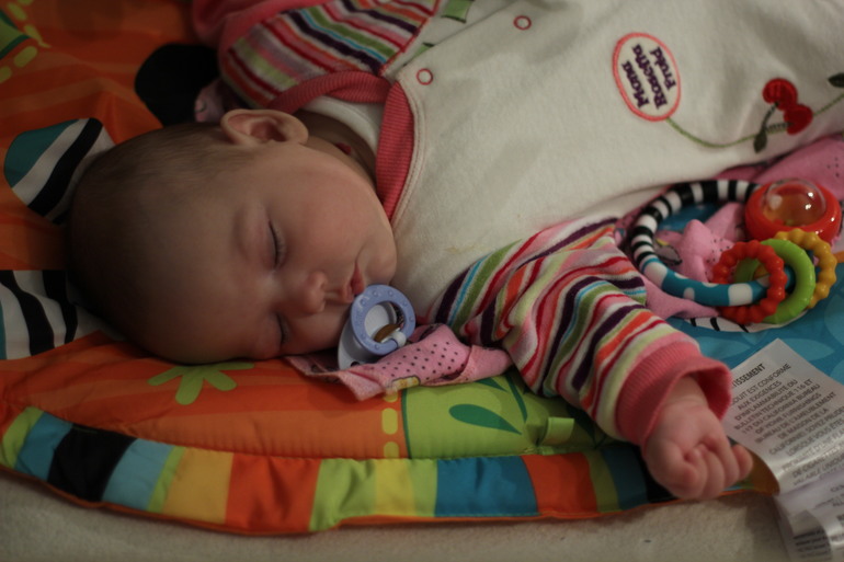 Рассказ про первый триместр Кукусиной жизни