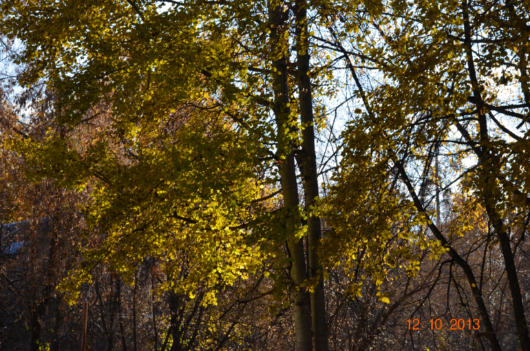 1e9832180897deb46201f61679bb80d6.jpg