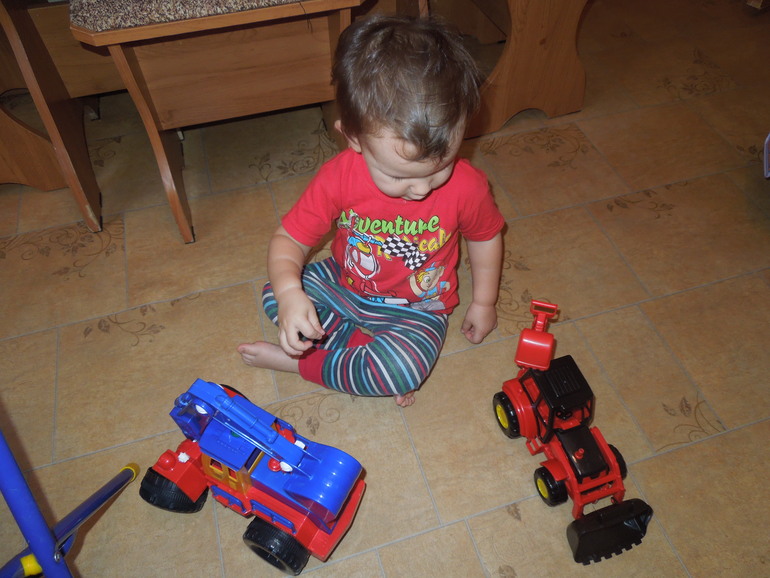 ФМ "Дикие животные" День 3 (Лиса и Заяц) № 20