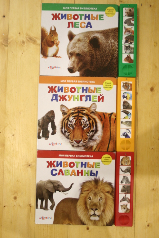 Наши книги в 1 год. Осторожно, Очень много фото!