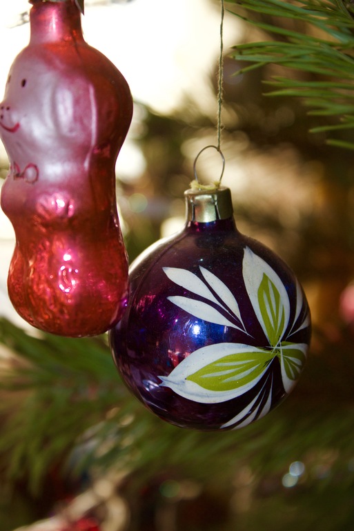 Свен Нурдквист