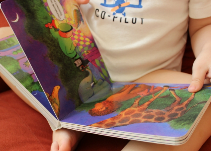 Любимые книги в прозе на данный момент (оч. много картинок)