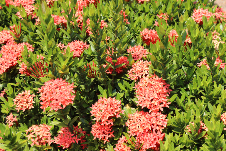 Картинки с отдыха