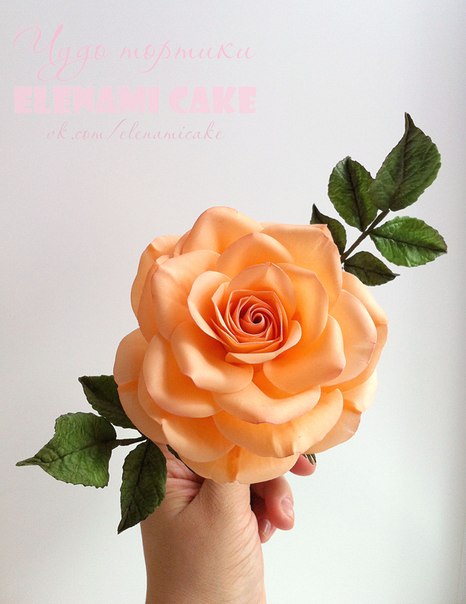 Отчёт с курсов сахарной флористики, преподаватель Жанна Рябкова!