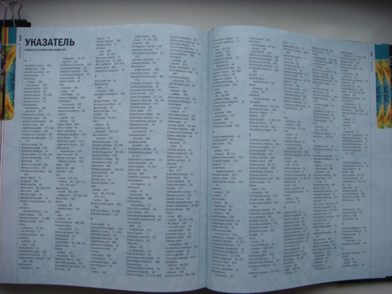 Животные. Большая иллюстрированная энциклопедия