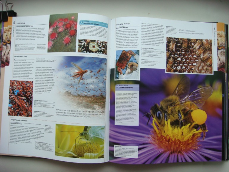 Животные. Большая иллюстрированная энциклопедия