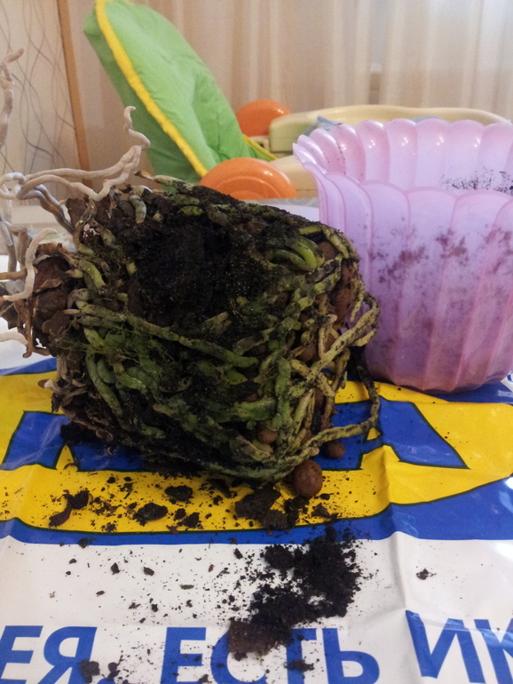 Девчонки очень нужен совет!!! Выручайте!!!