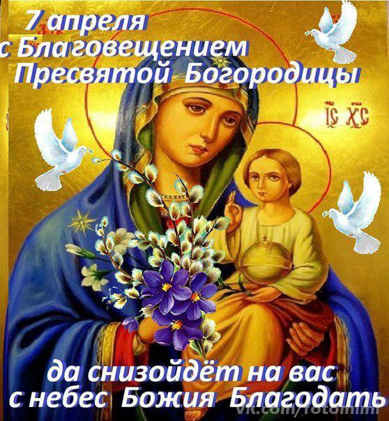 ee15a6bd4d2ba91da4e0a0f883a59950.jpg