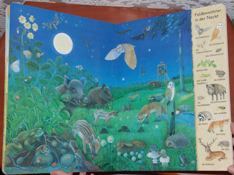 Развороты Mein erstes Wimmelbuch - Feld und Wiese by Christine Henkel