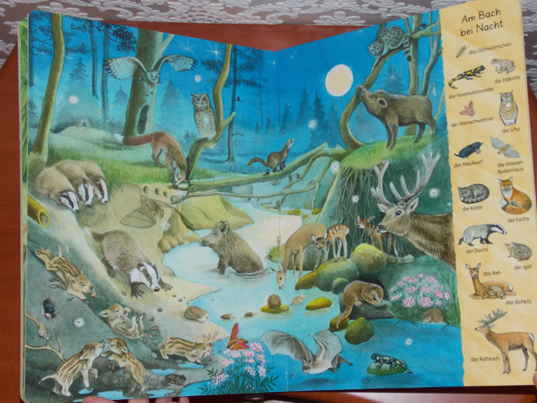 Развороты Mein erstes Wimmelbuch - Bach und Teich by Christine Henkel