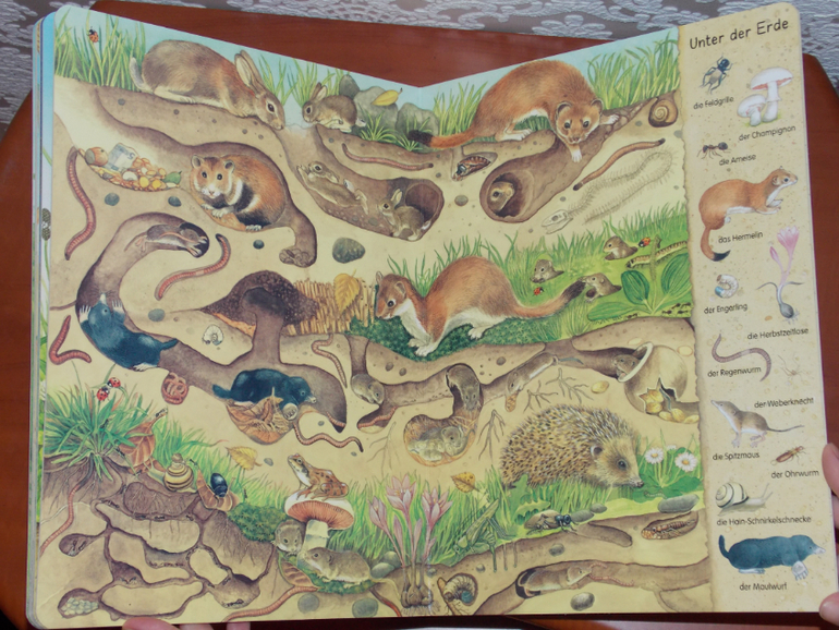 Развороты Mein erstes Wimmelbuch - Feld und Wiese by Christine Henkel