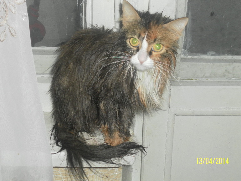 моя мусильда))