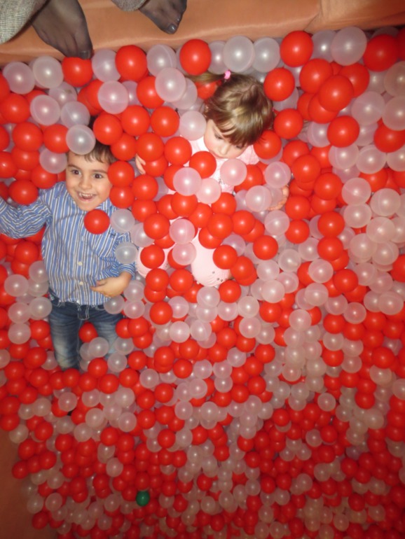 2 года моей любимой Софи!