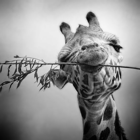 Доброе Утро! ) К Лету готовы? ;)