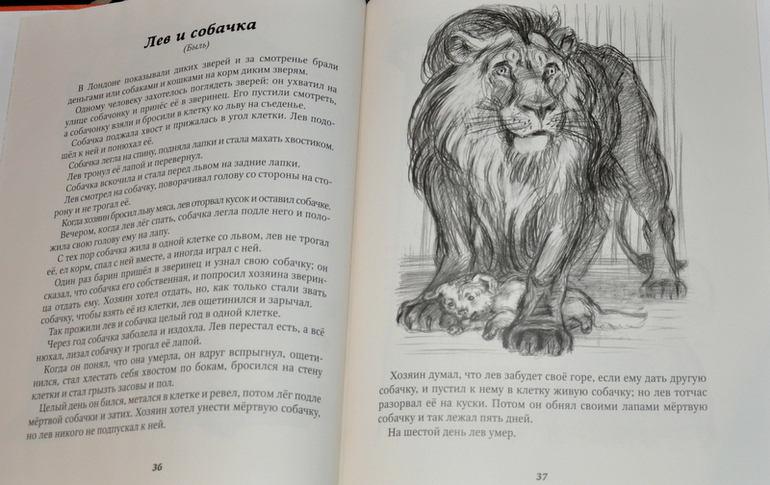 Очередное книжное (11)