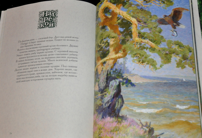 Очередное книжное (11)