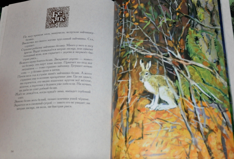 Очередное книжное (11)