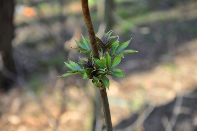 Предпасхальное настроение - фоторепортаж...