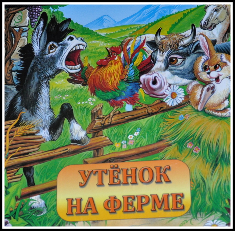 Книгообзор 5