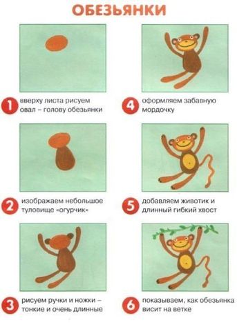 рисуем животных