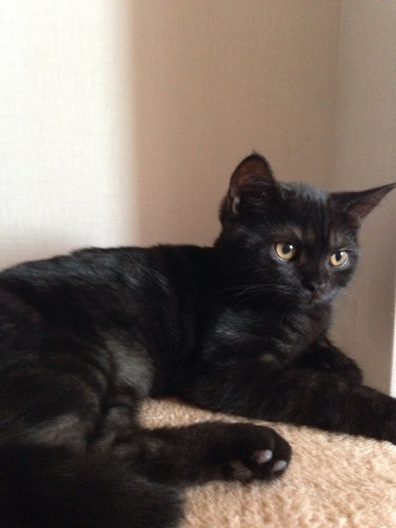 Мой ласкуша)