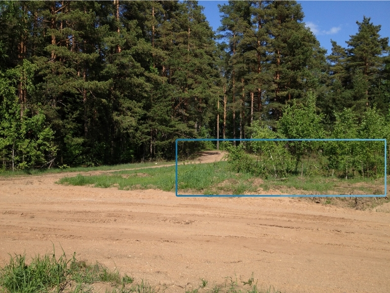 Участок 10 соток у озера_Тверская обл.