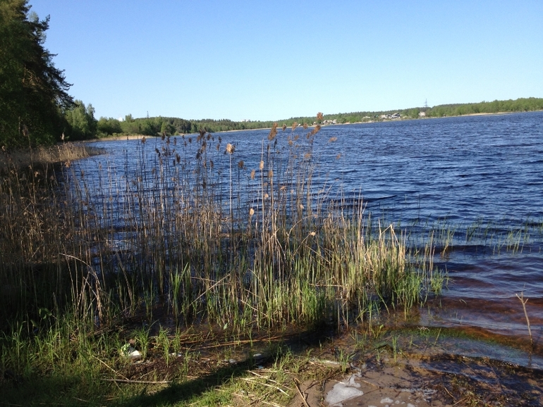Участок 10 соток у озера_Тверская обл.
