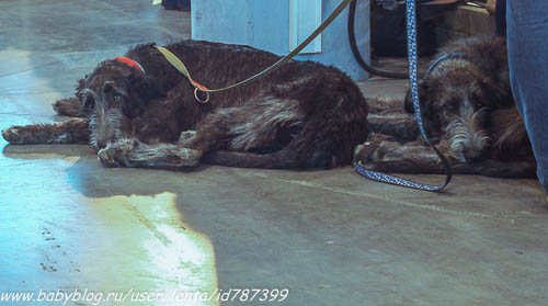 Майские на волне вежливости. Где мы были, как мы жили.