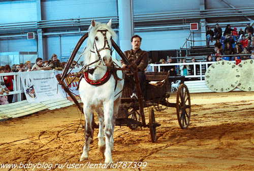 Майские на волне вежливости. Где мы были, как мы жили.
