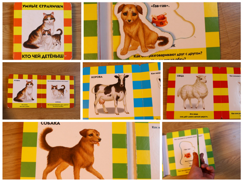 Лучшие книги-пазлы для детей. Категория 0+