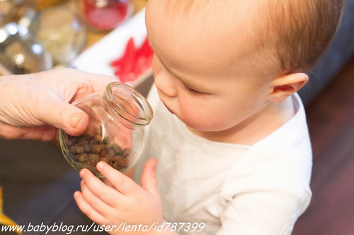 Игры с ароматами и специями, лото запахов и Шичида