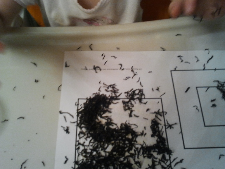 Квадратный день