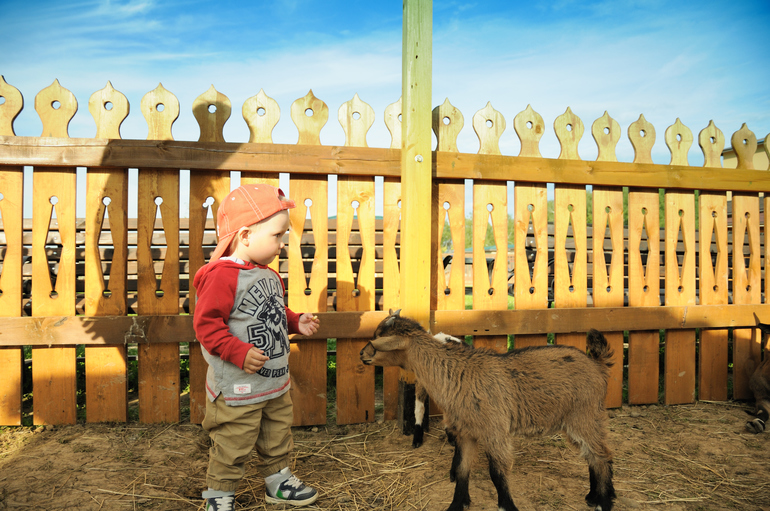 Эзотик парк - впечатления и фото