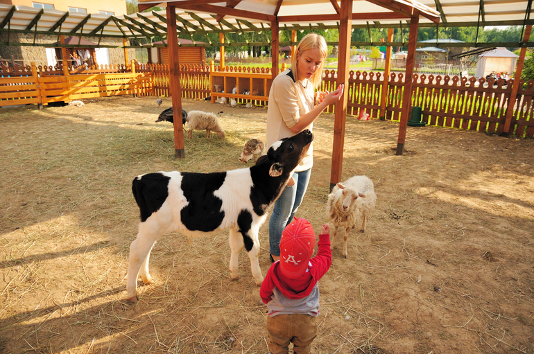 Эзотик парк - впечатления и фото