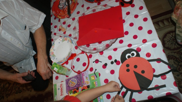 ПреКРАСНЫЙ праздник маленькой божьей коровки))