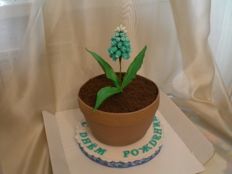 Торт на заказ в Ивантеевке. Торт  горшок с цветком