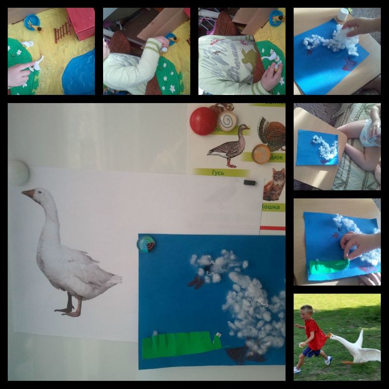 ТН"Птичий двор"-день третий - Гуси.