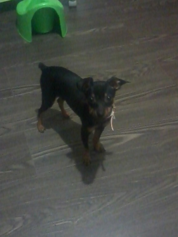 Капитоше 5 месяцев