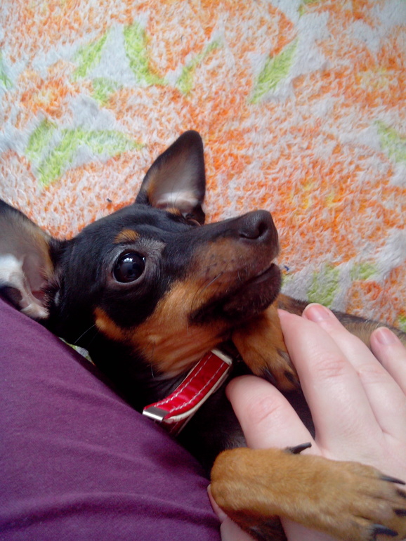 Капитоше 5 месяцев