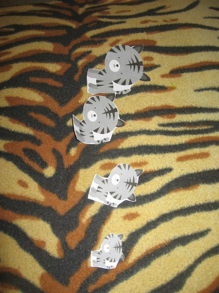 ФМ АФРИКА 2 день