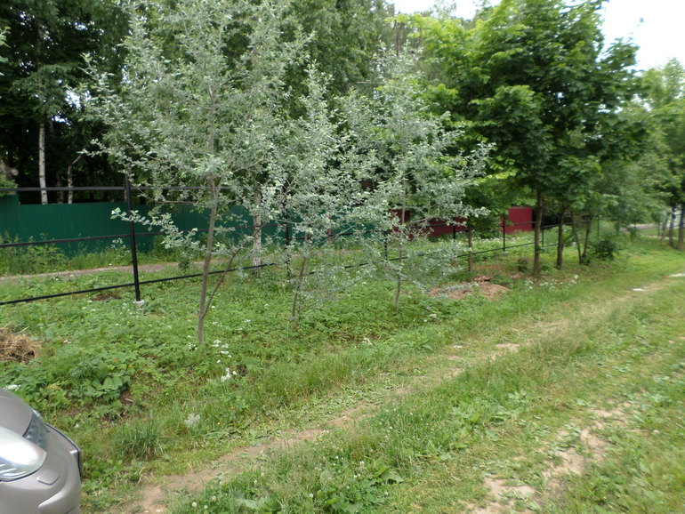 Продам участок с домом в Южном Бутово СНТ