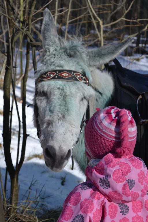 Масленница в зверинце на Поляне Невест, г.Ступино
