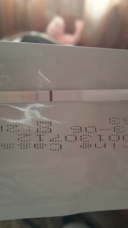 сегодняшнее утро