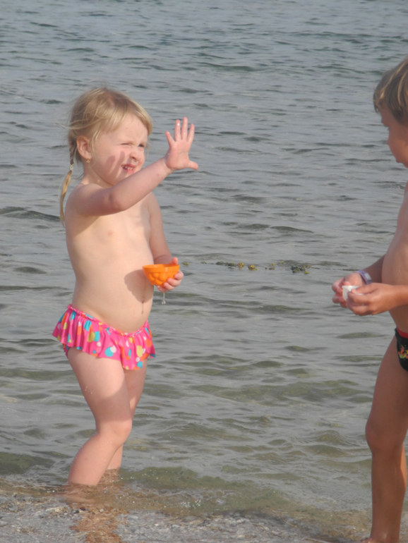 Beach Albatros Garden