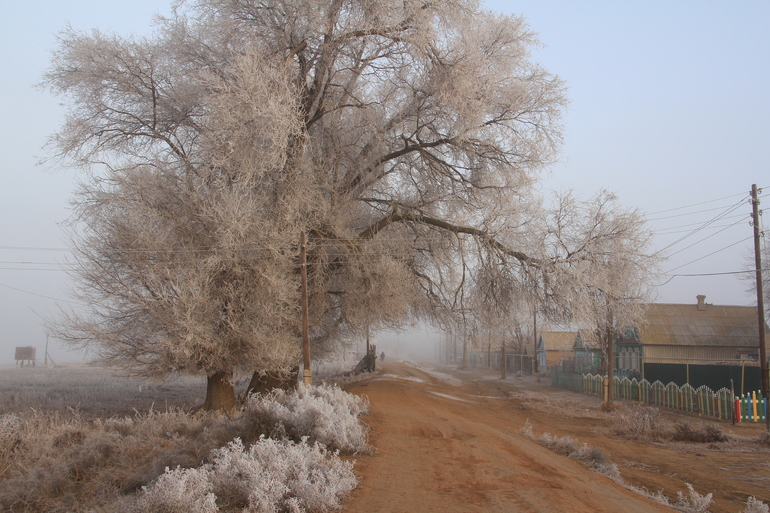 У нас по-утрам была зима