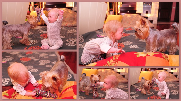 Вот и 9 месяцев